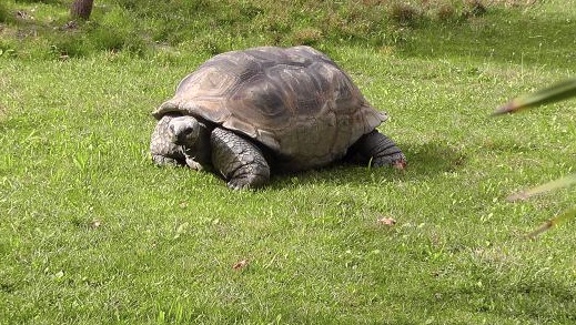 Bussolengo, weekend della “scienza al Parco”