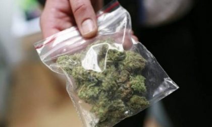 Marijuana nella damigiana, 35enne patteggia