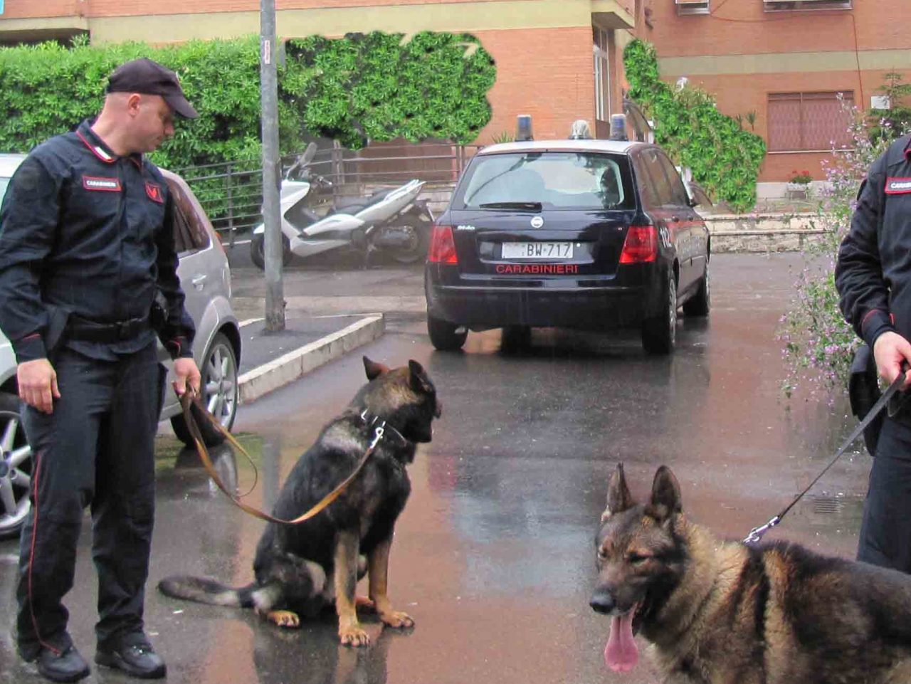 Bambino scomparso, ricerche anche a Villafranca