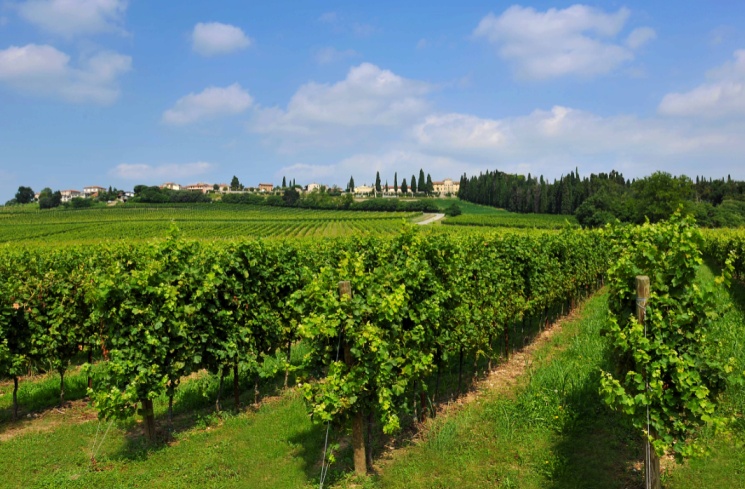 Il Custoza a ruba nei supermercati