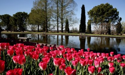 Black&White, inaugurata mostra al Parco Sigurtà