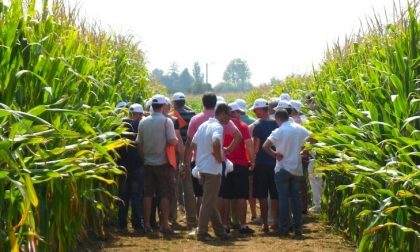 Brexit, i nostri agricoltori scendono in piazza