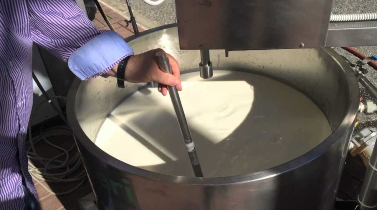 Mais, soia, colza alle stelle e latte sottocosto, Coldiretti: “E’ crisi nelle stalle veronesi”