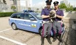 Incidente A22, la piccola Luna attende la famiglia