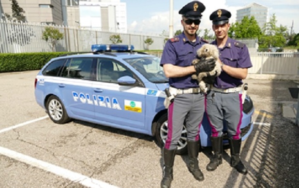 Incidente A22, la piccola Luna attende la famiglia