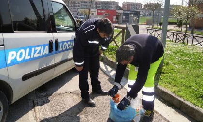 Rifiuti, partono i controlli. Chi sgarra paga