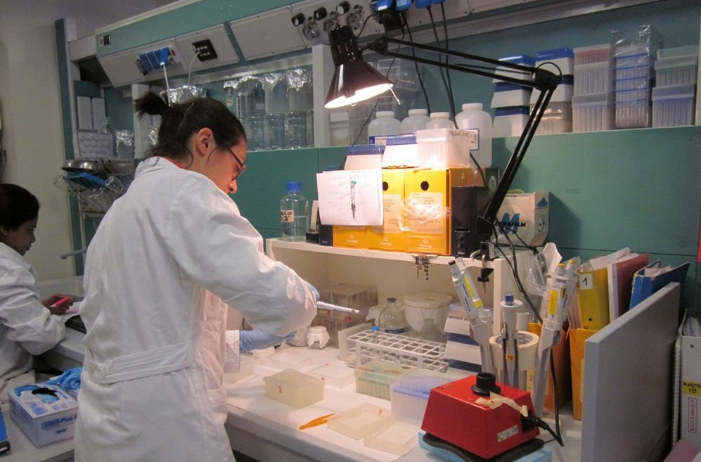 Biotecnologie: scoperto il meccanismo con cui le piante risparmiano energia