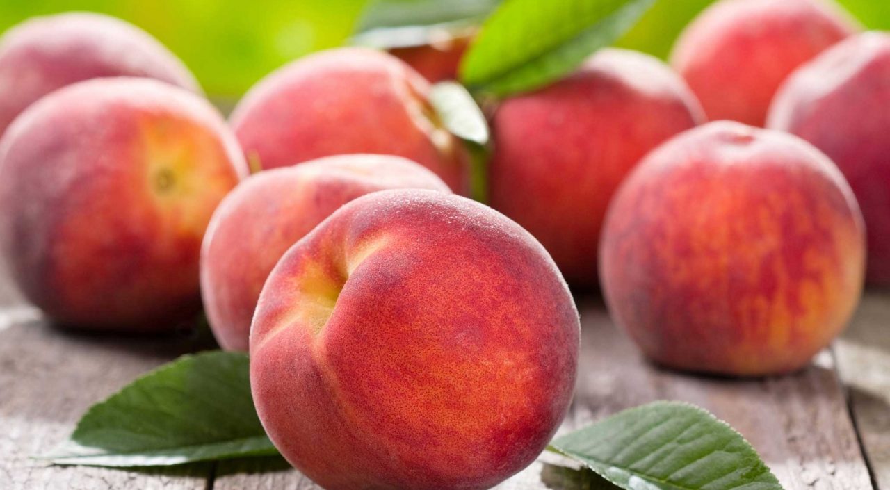Bussolengo, cinque serate dedicate alle pesche