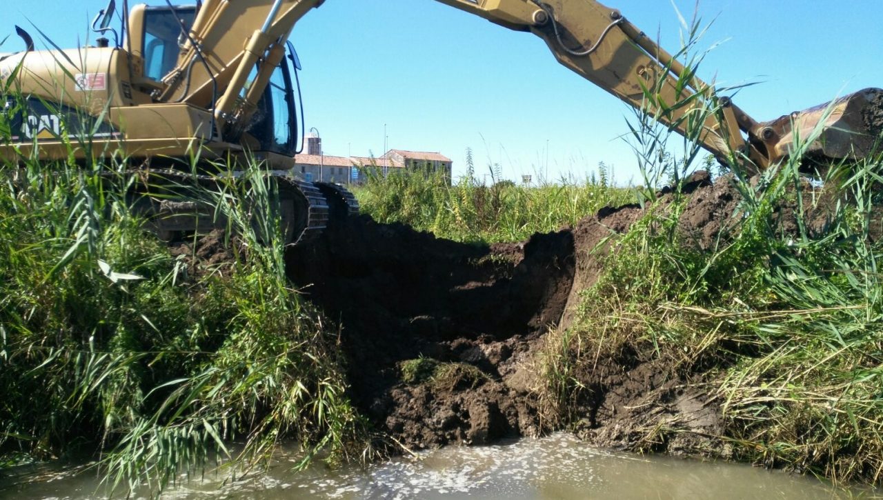 Isola della Scala: interventi per danni creati dalle nutrie sul Tartaro