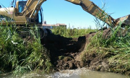 Isola della Scala: interventi per danni creati dalle nutrie sul Tartaro