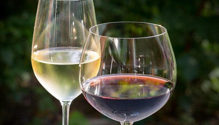 Hostaria Verona il festival del vino