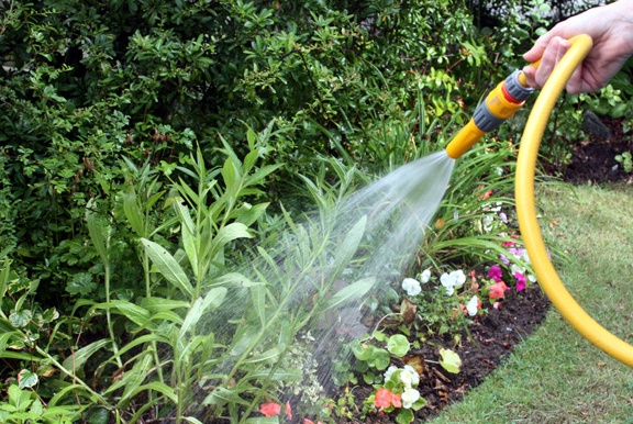Valeggio, vietato usare l’acqua potabile per orti e giardini