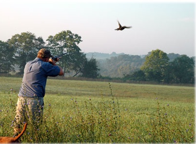 Caccia: apre oggi la stagione per colombacci e tortore