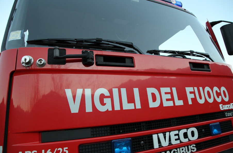 Camion si ribalta, tacchini invadono la strada