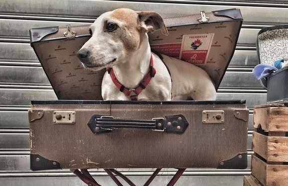 Domenica torna “Valeggio Veste il Vintage”