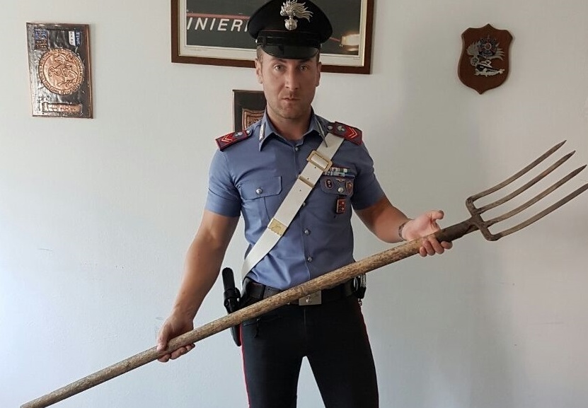 Lite tra famiglie, arrestata una 50enne