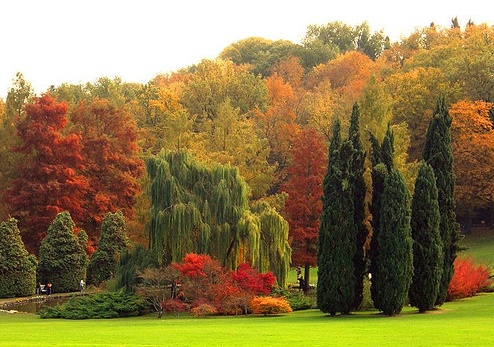 Equinozio d’autunno oggi 21 settembre? No, è domenica 23