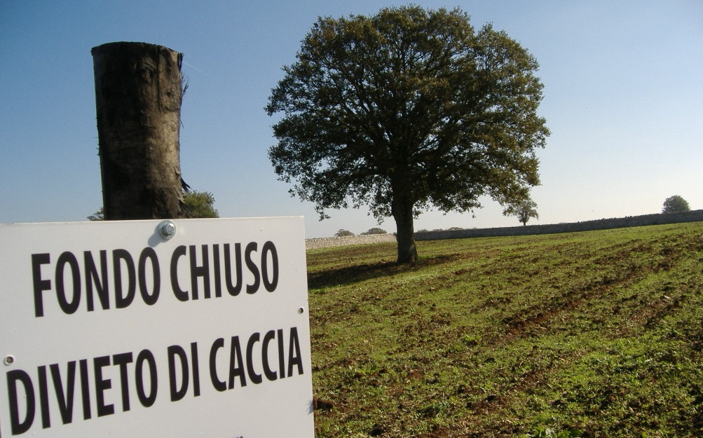 Valeggio, sabato e domenica divieto di caccia