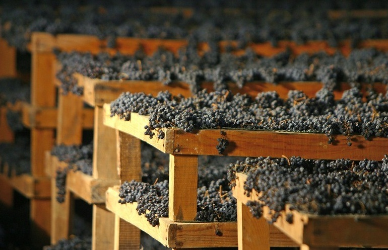 Vendemmia, ridotta percentuale di uve a riposo per Amarone