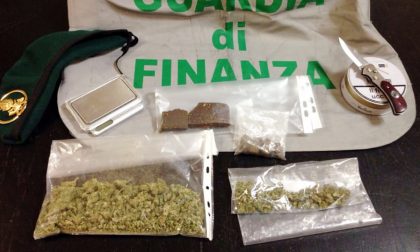 enorme piantagione di marijuana  scoperta nel basso veronese