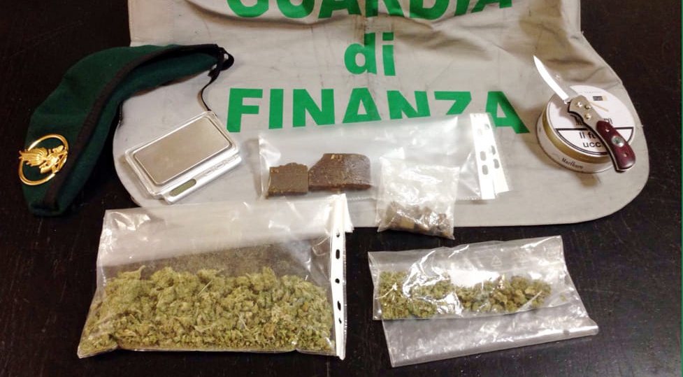 enorme piantagione di marijuana  scoperta nel basso veronese