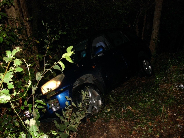 Auto con a bordo neonato rischia di precipitare da una scarpata