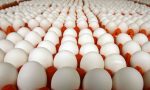 Sequestrate otto milioni di uova in provincia