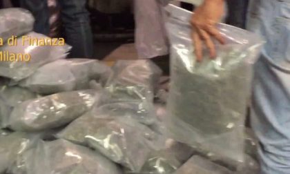 VIDEO: il sequestro della marijuana a Valeggio