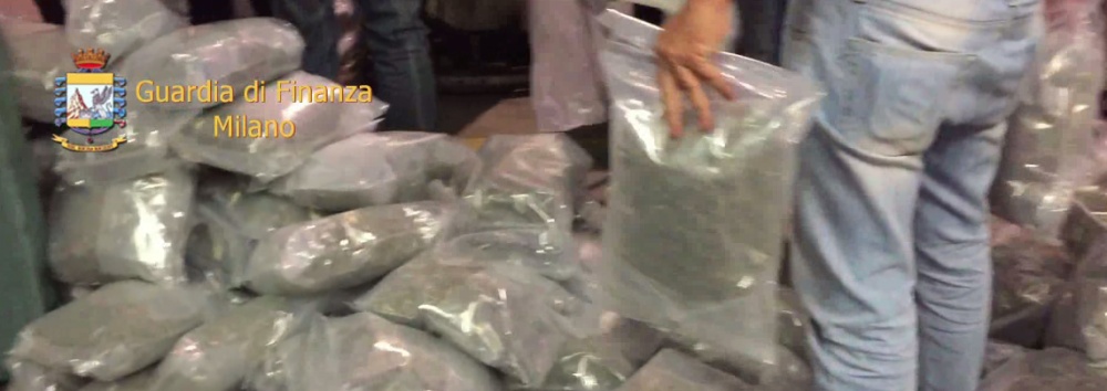 VIDEO: il sequestro della marijuana a Valeggio