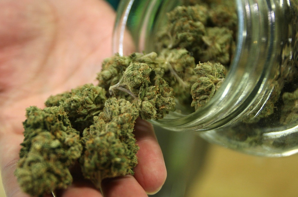 Viaggiavano con 51 kg di marijuana, arrestata una coppia