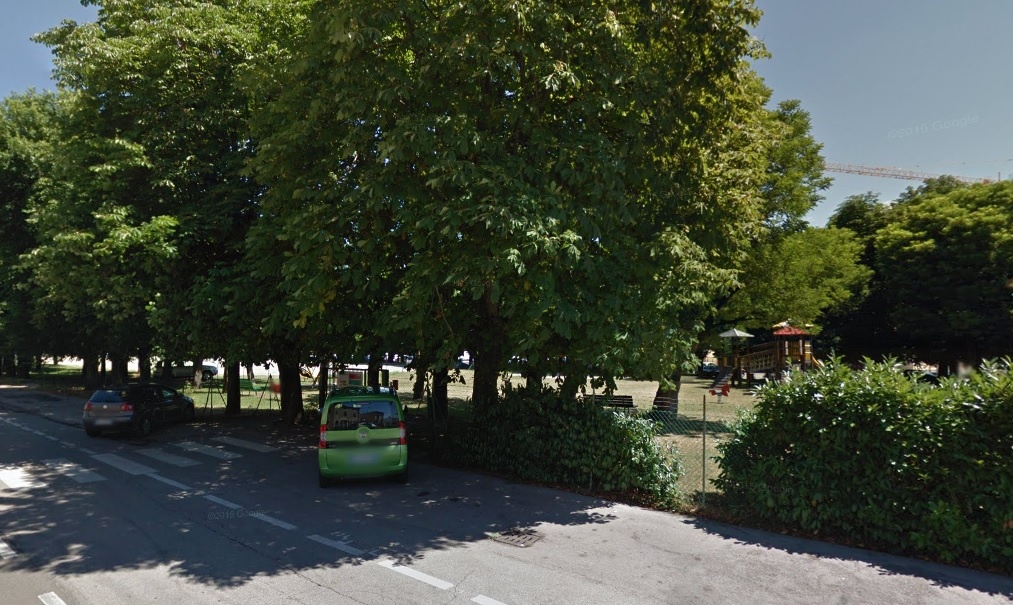 Abbattuti venti alberi secolari a Bussolengo