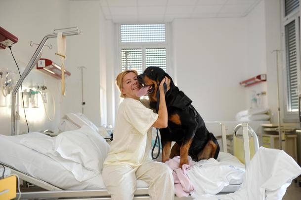 CANI E GATTI ALL’OSPEDALE AL FIANCO DEL PADRONE MALATO (cosa ne pensate?)