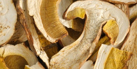 Funghi porcini secchi “Oliveri” ritirati per salmonella
