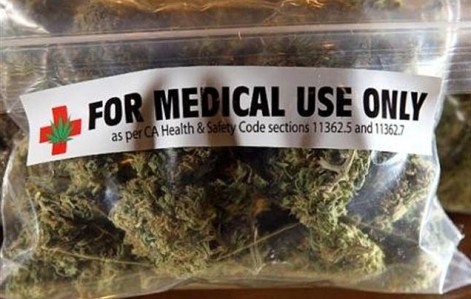 Marijuana terapeutica, in Veneto la prima farmacia italiana a distribuirla