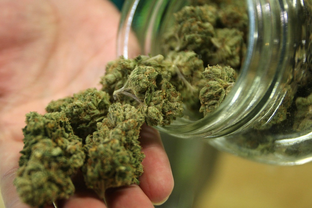 Arrestato un veronese, aveva 1800 chili di marijuana