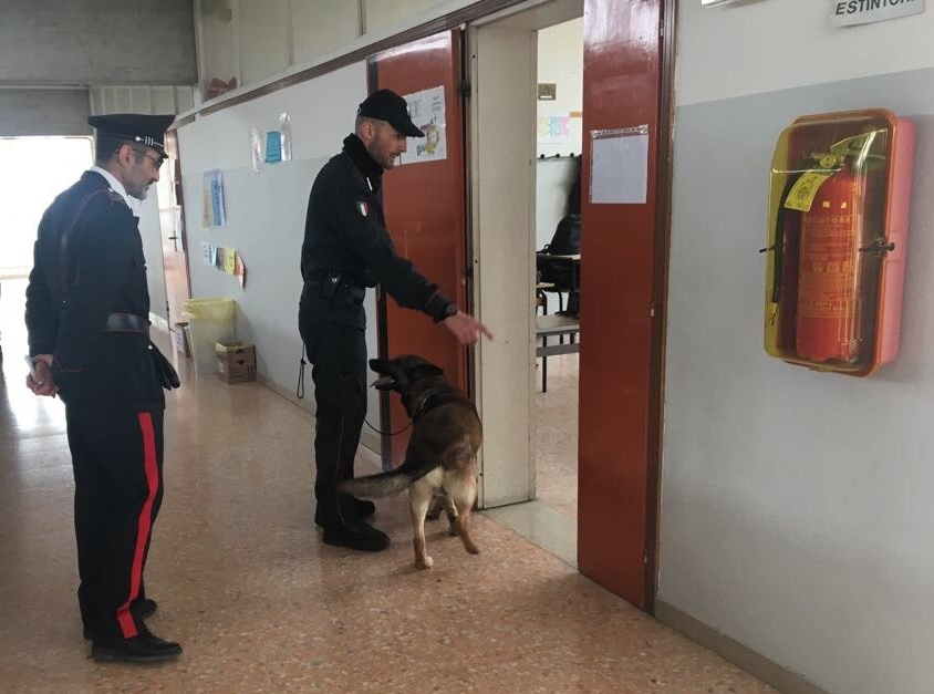 Cani antidroga in due istituti veronesi