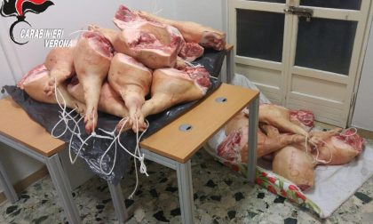 Fermata vettura, a bordo carne di maiale avariata