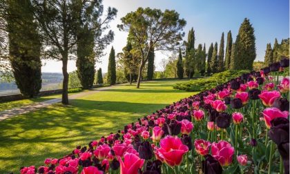 Gli antichi giochi tradizionali al Parco Sigurtà