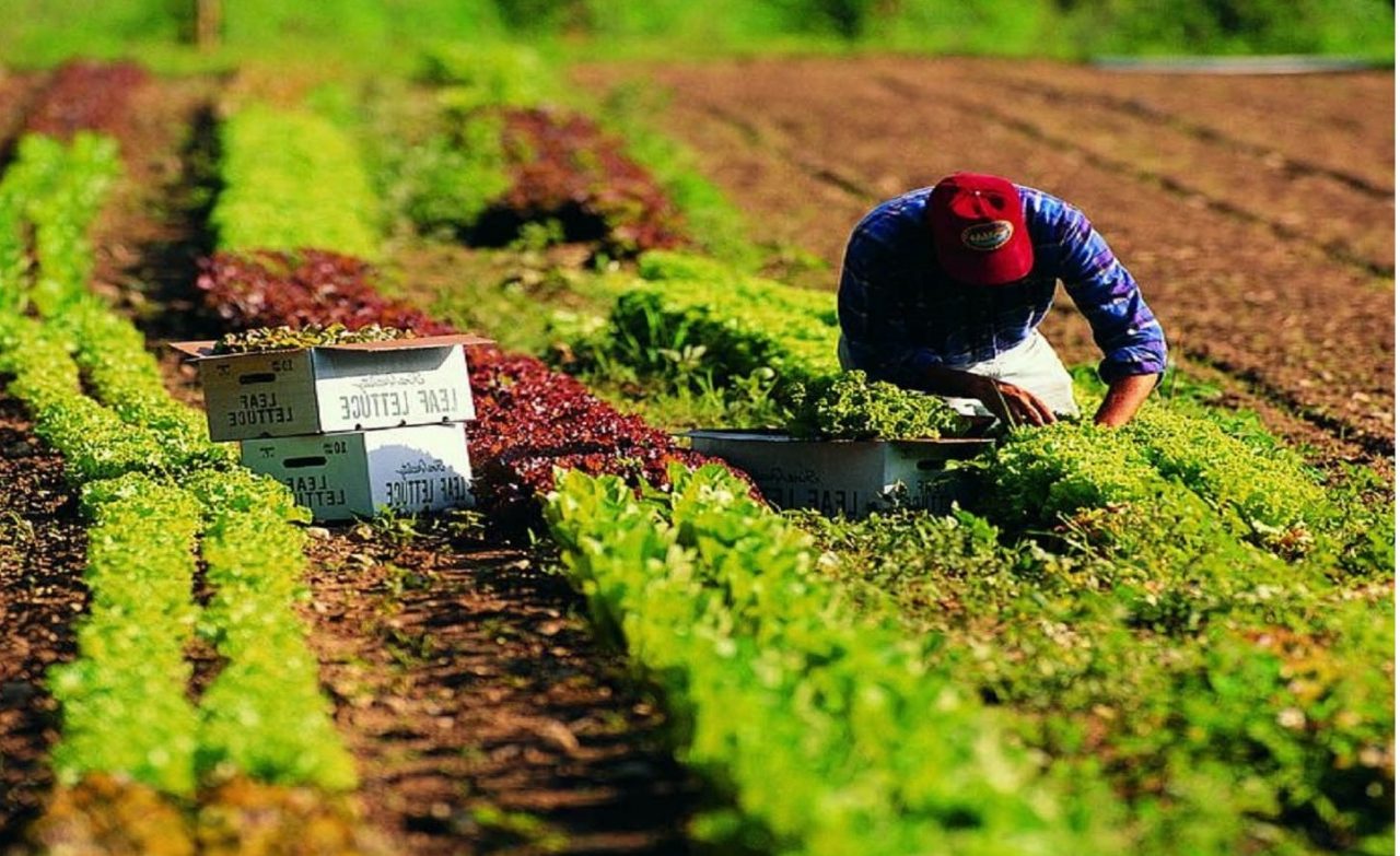 Lavori redditizi senza laurea: cosa conviene fare?
