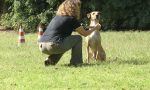 Patentino proprietari di cani inizia l'ottavo corso