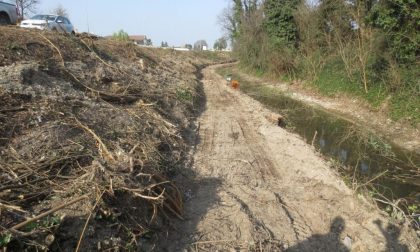 Povegliano, ecco i lavori fatti alla risorgiva Calfura