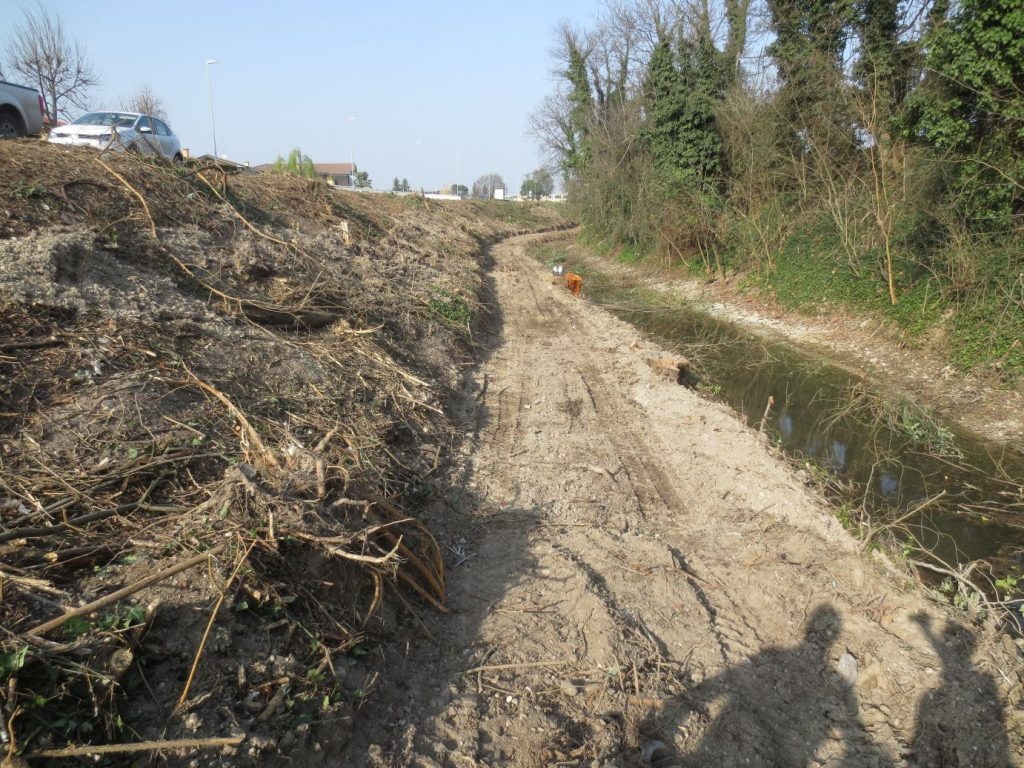 Povegliano, ecco i lavori fatti alla risorgiva Calfura