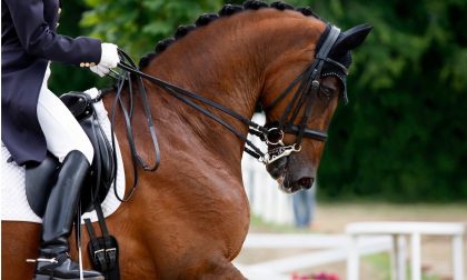 Sommacampagna, grande weekend di equitazione