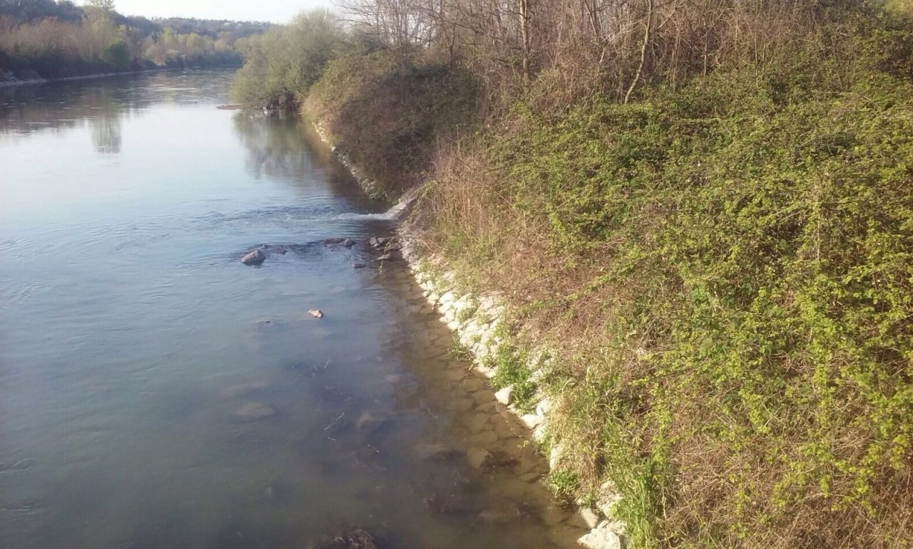 Allarme inquinamento, liquami finiscono nel Mincio