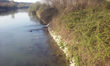 Allarme inquinamento, liquami finiscono nel Mincio