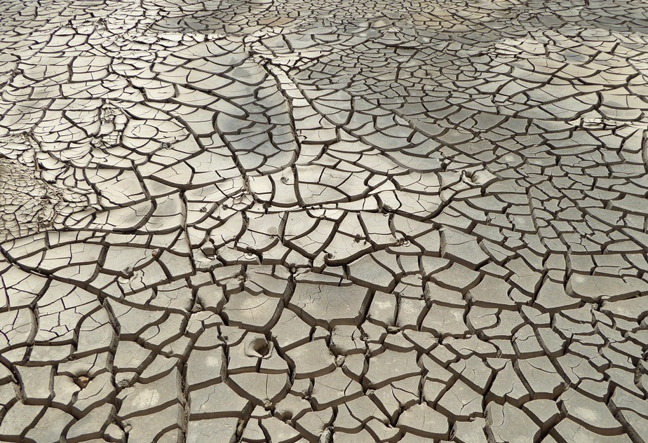 Siccità, la Regione dichiara lo stato di crisi