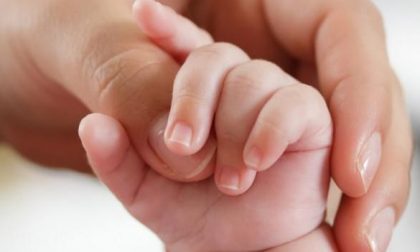 Valeggio festeggia i suoi nuovi piccoli cittadini
