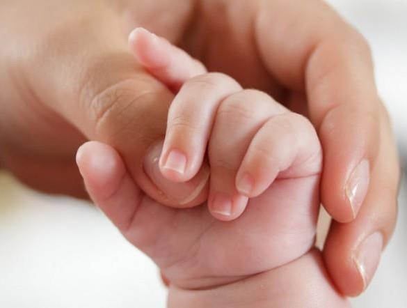 Valeggio festeggia i suoi nuovi piccoli cittadini