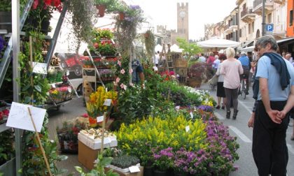 Villafranca in fiore, weekend all'insegna dei colori