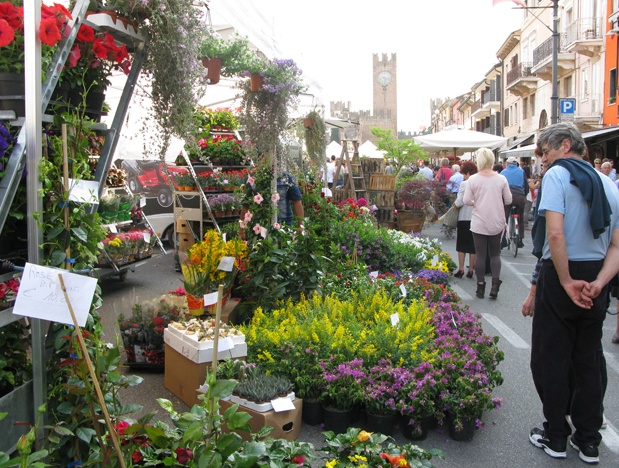 Villafranca in fiore, weekend all’insegna dei colori